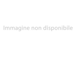 23206091_E_ijo37acb8zdrv.jpg